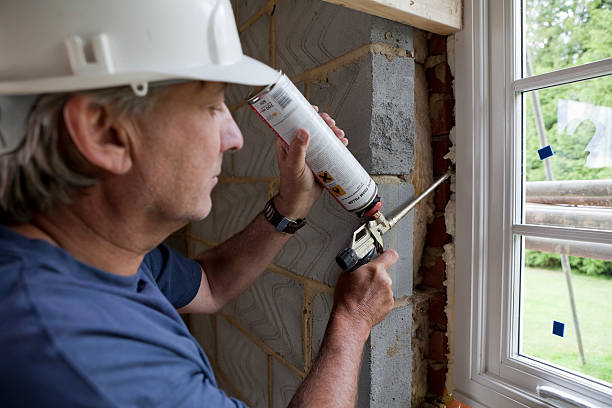 Best Garage Insulation Installation  in Wasilla, AK